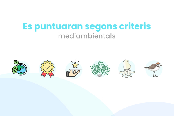 Vídeo Plec clàusules - Aj. de Sitges