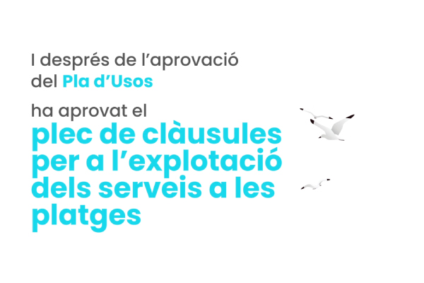 Vídeo Plec clàusules - Aj. de Sitges